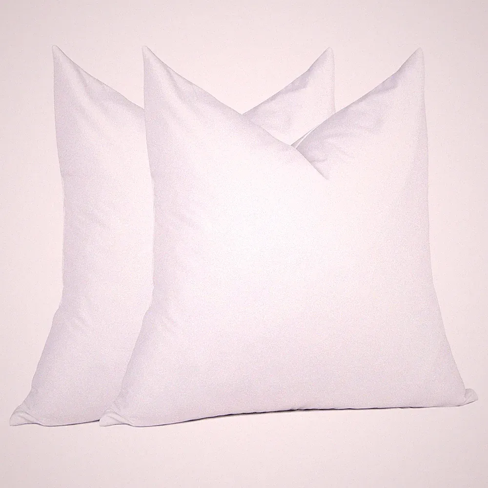 ® 18 x 18 Decorative Feather Down Throw Pillow Inserts (Set of 2, White) for...